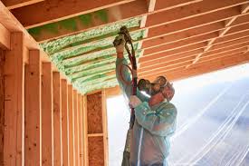 Eco-Friendly or Green Insulation Solutions in Charleston, SC